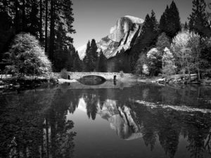 Yosemitie